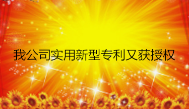 我公司實用新型專利又獲授權